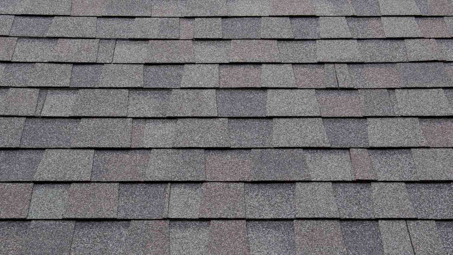 close up of dark grey asphalt shingles