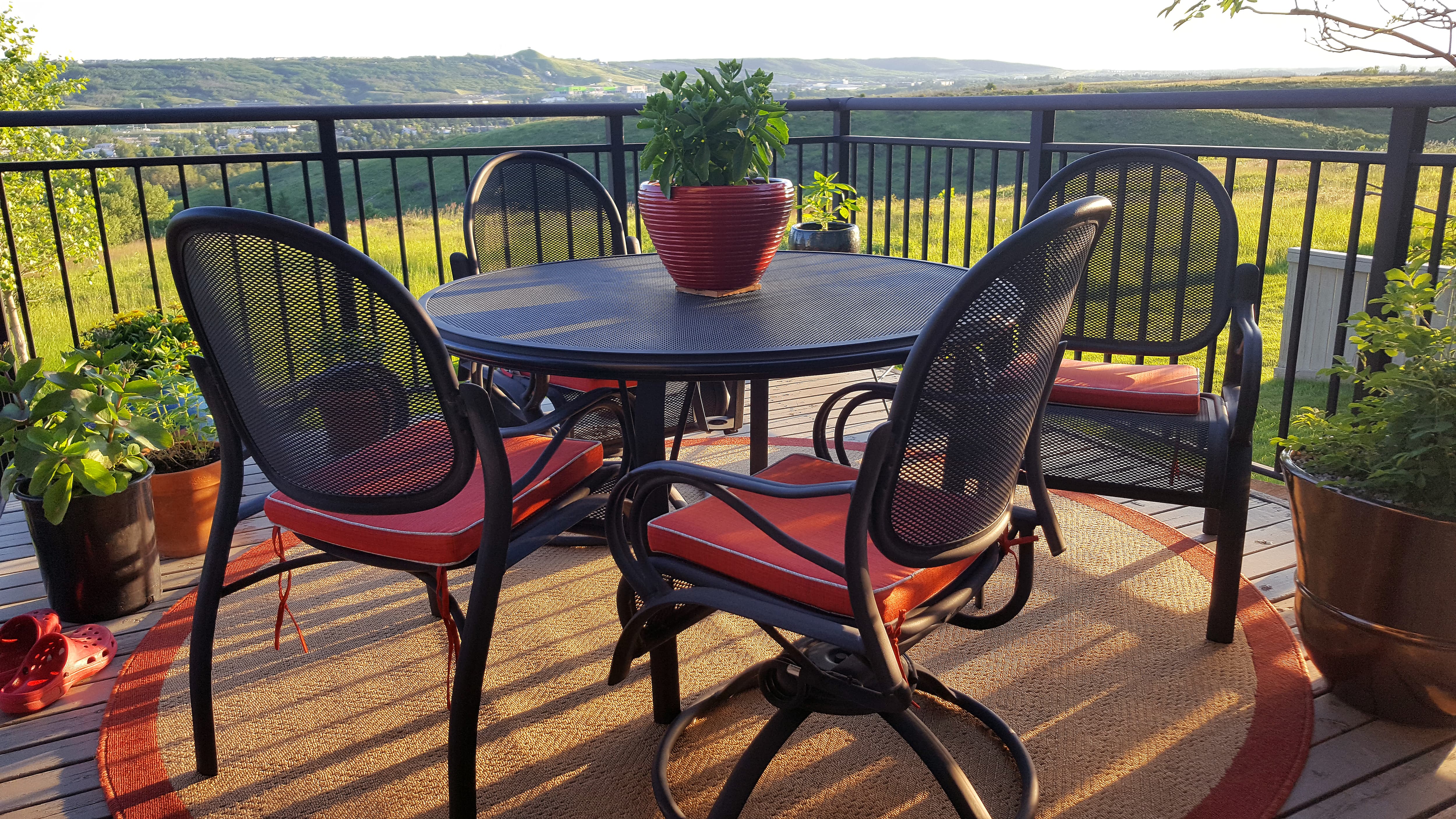 Back deck with black aluminum railing