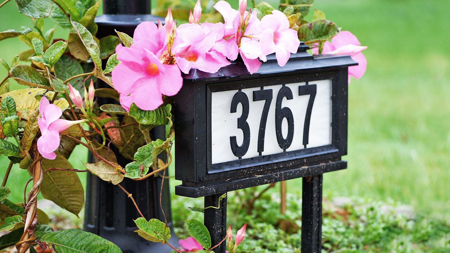 house number on flower bed in front lawn