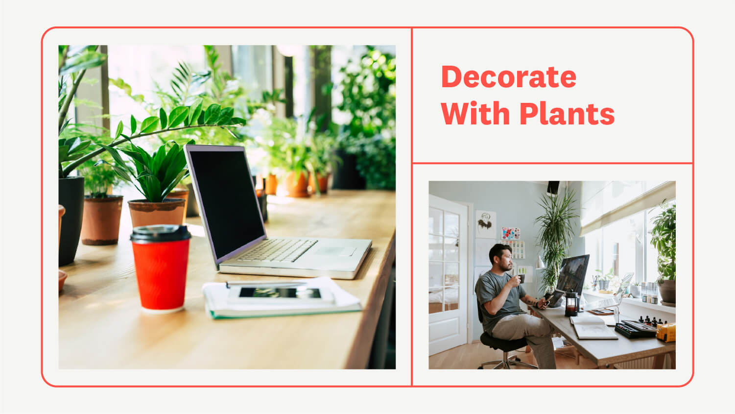 side view of laptop and coffee cup on desk with plants