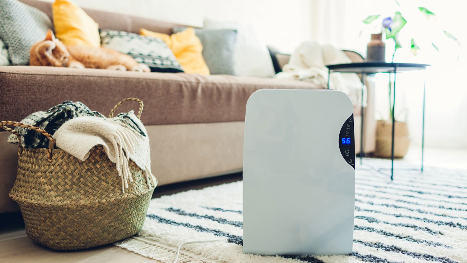 A dehumidifier with a touch panel working in living room