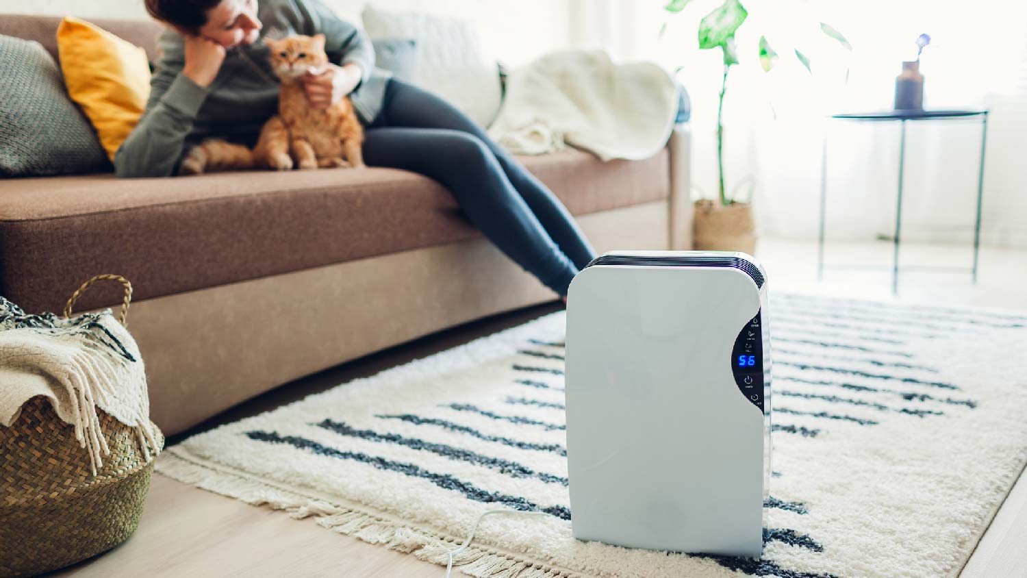 A dehumidifier with a woman petting a cat in the background