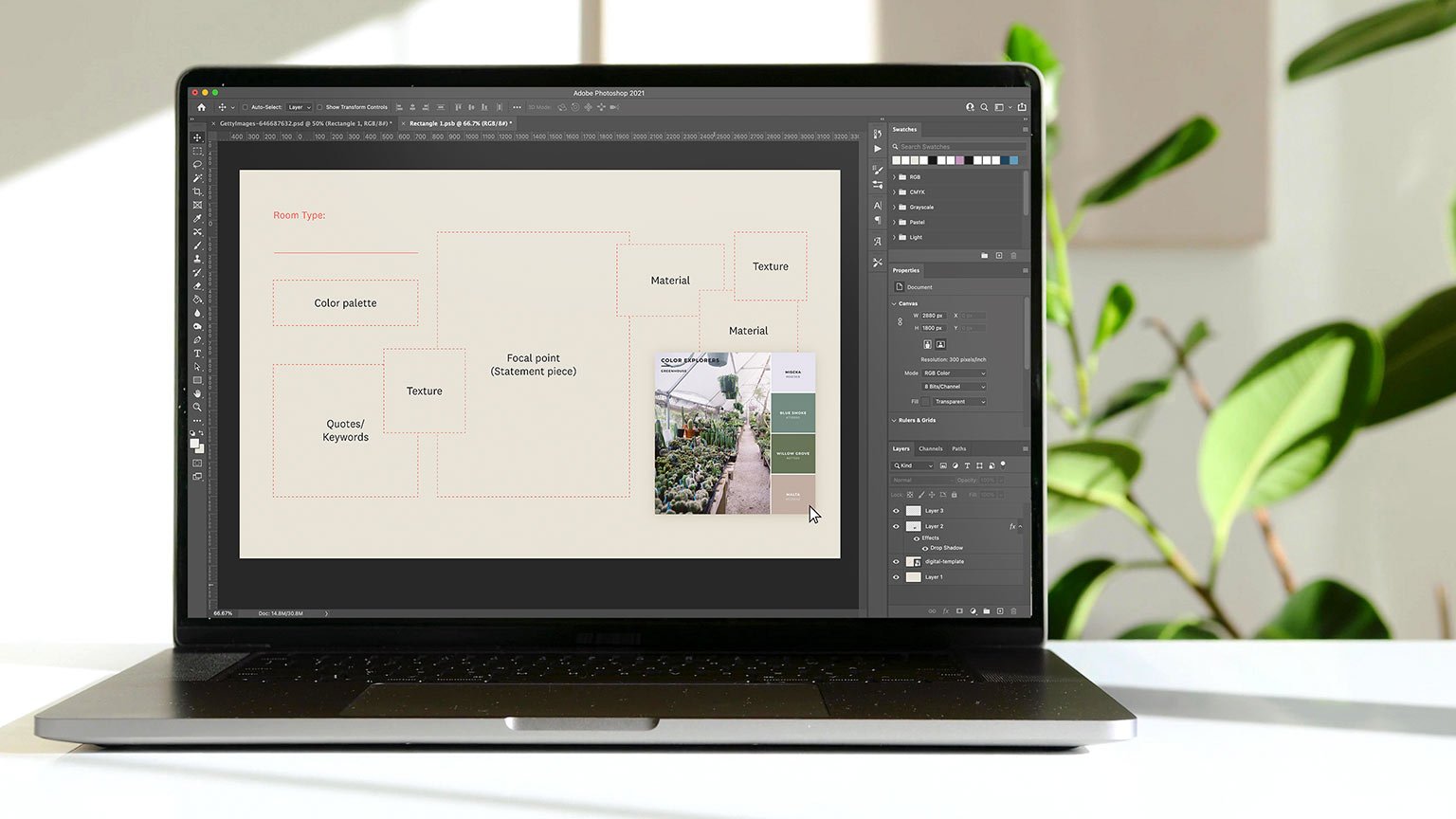 laptop showing a design template on a white desk with a green plant