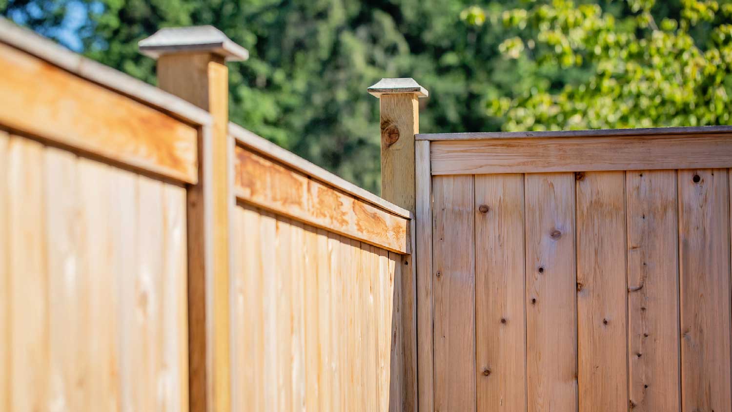 Close-up of a board-on-board fence