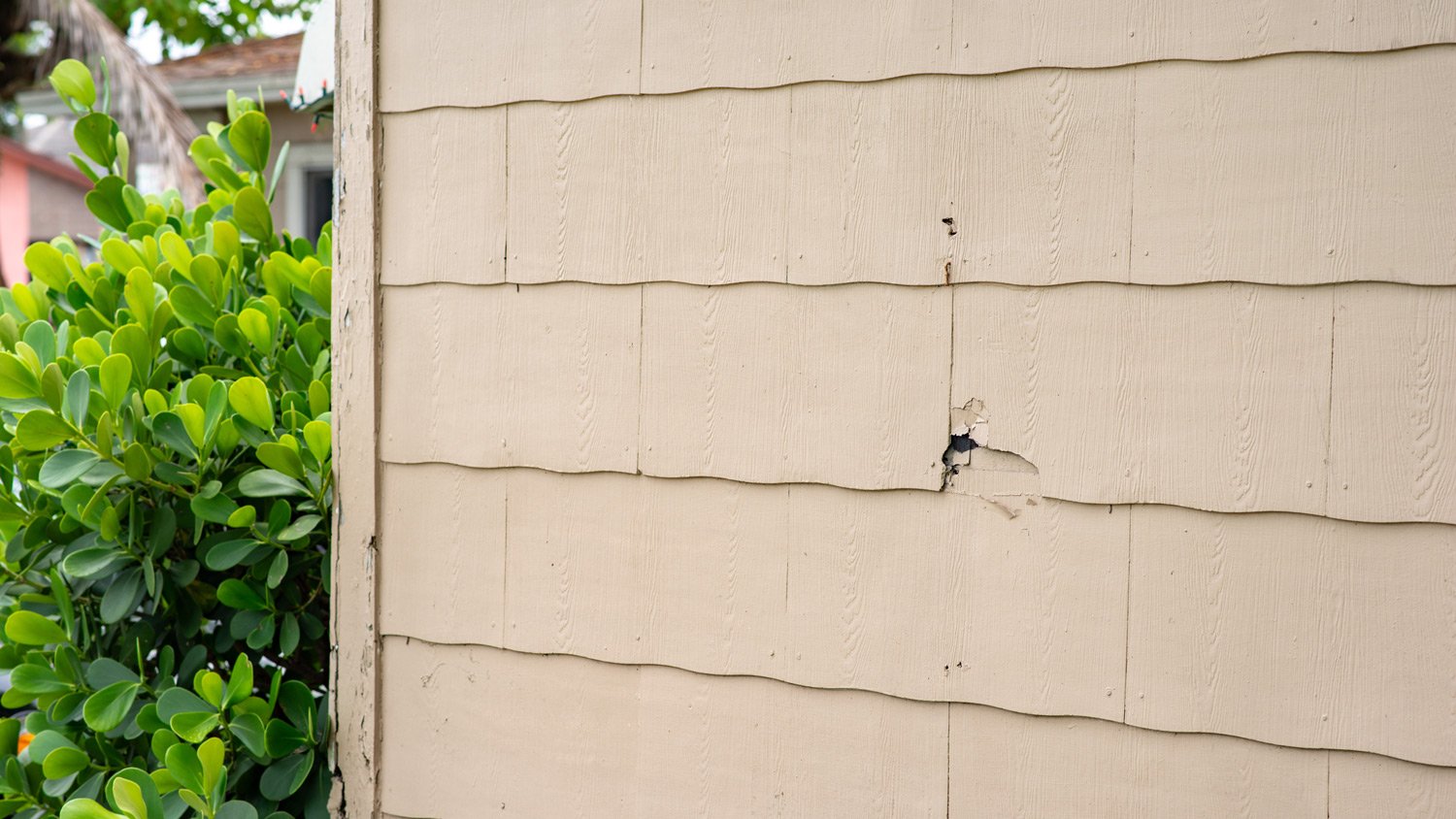 Detail of asbestos siding house 