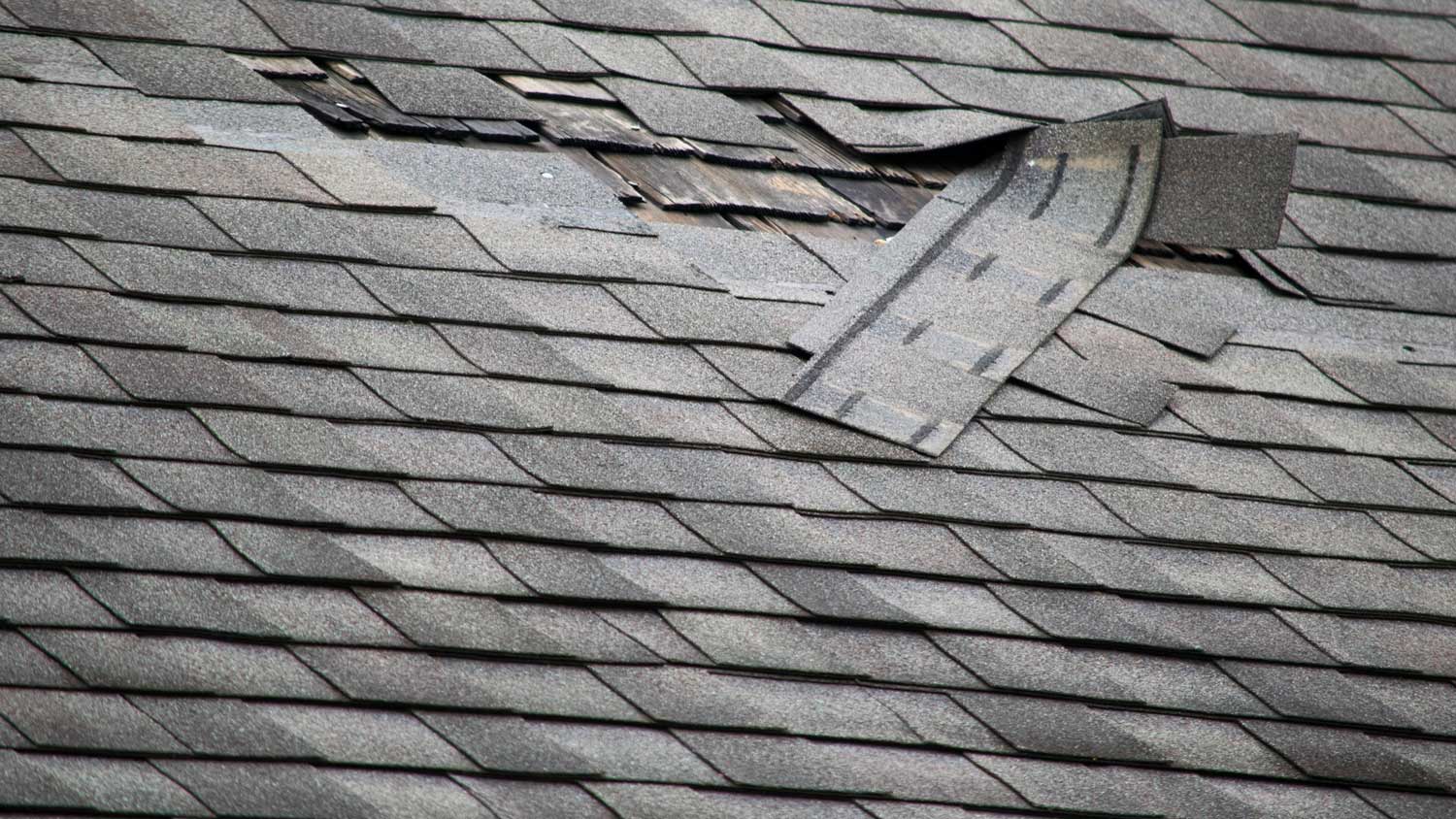 A badly damaged roof with missing shingles in need of repair