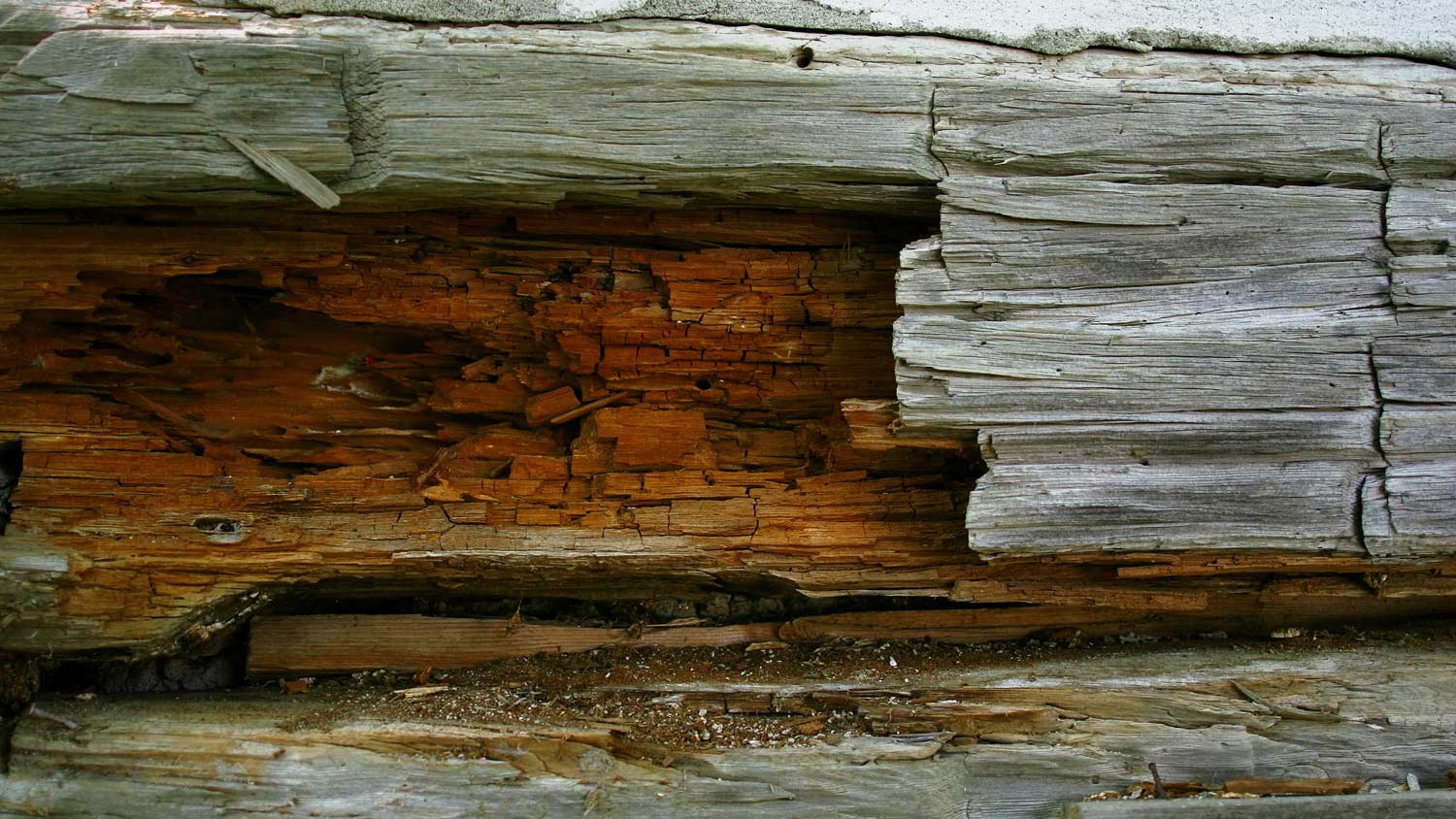 Closeup view of an old log wall