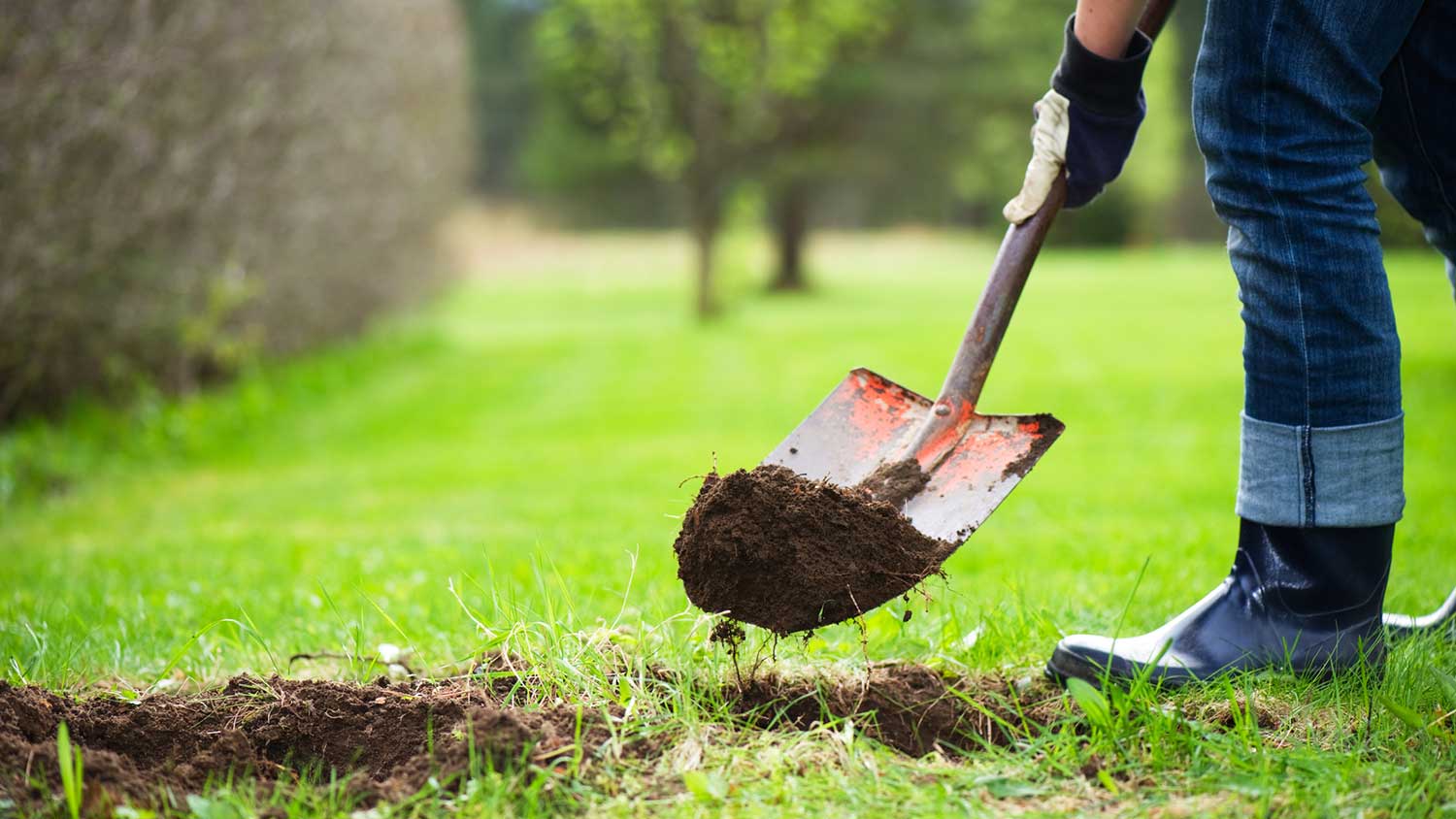 Gardener using a shovel to dig a hole in the backyard