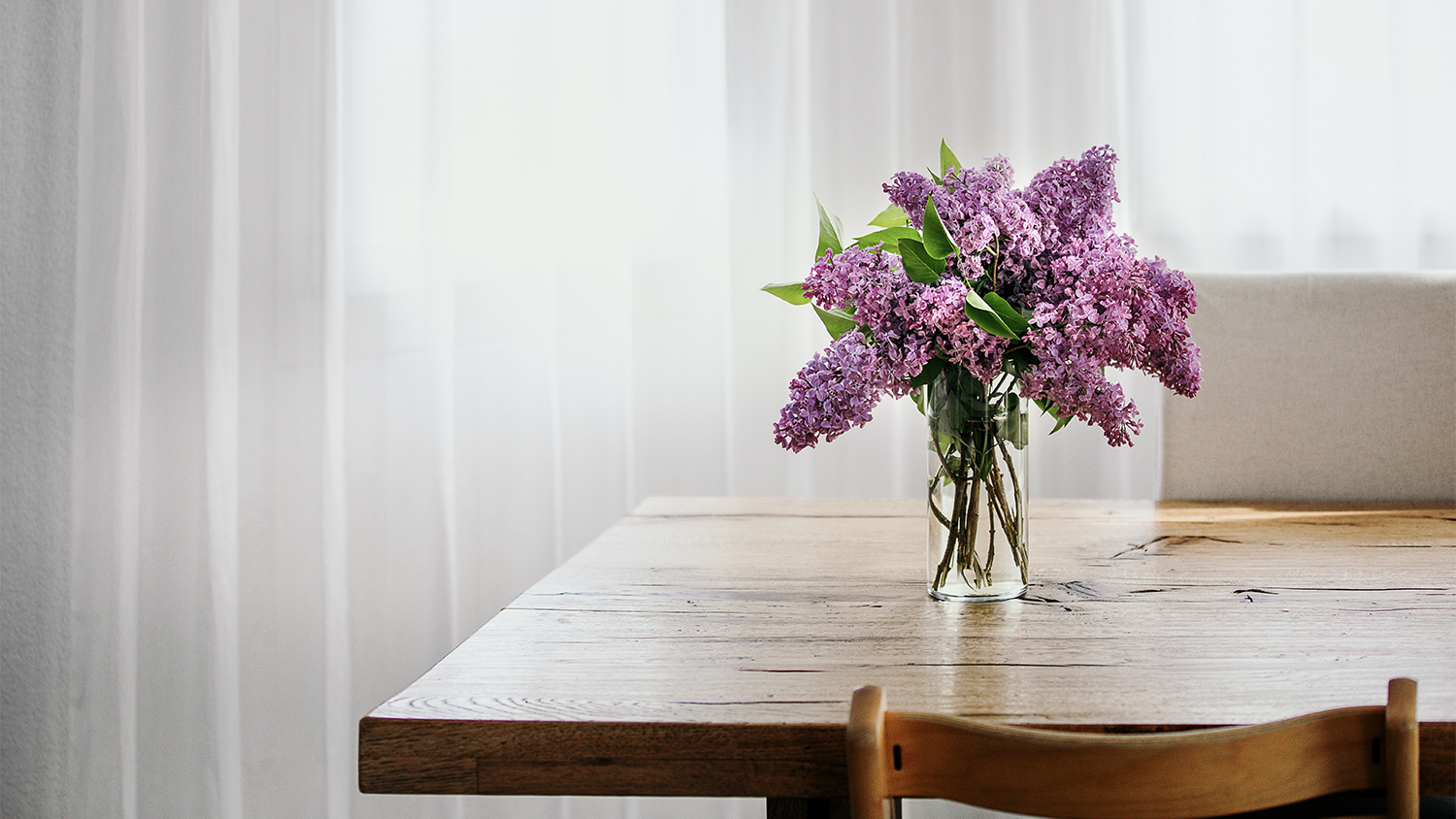 lilac flowers on dining table