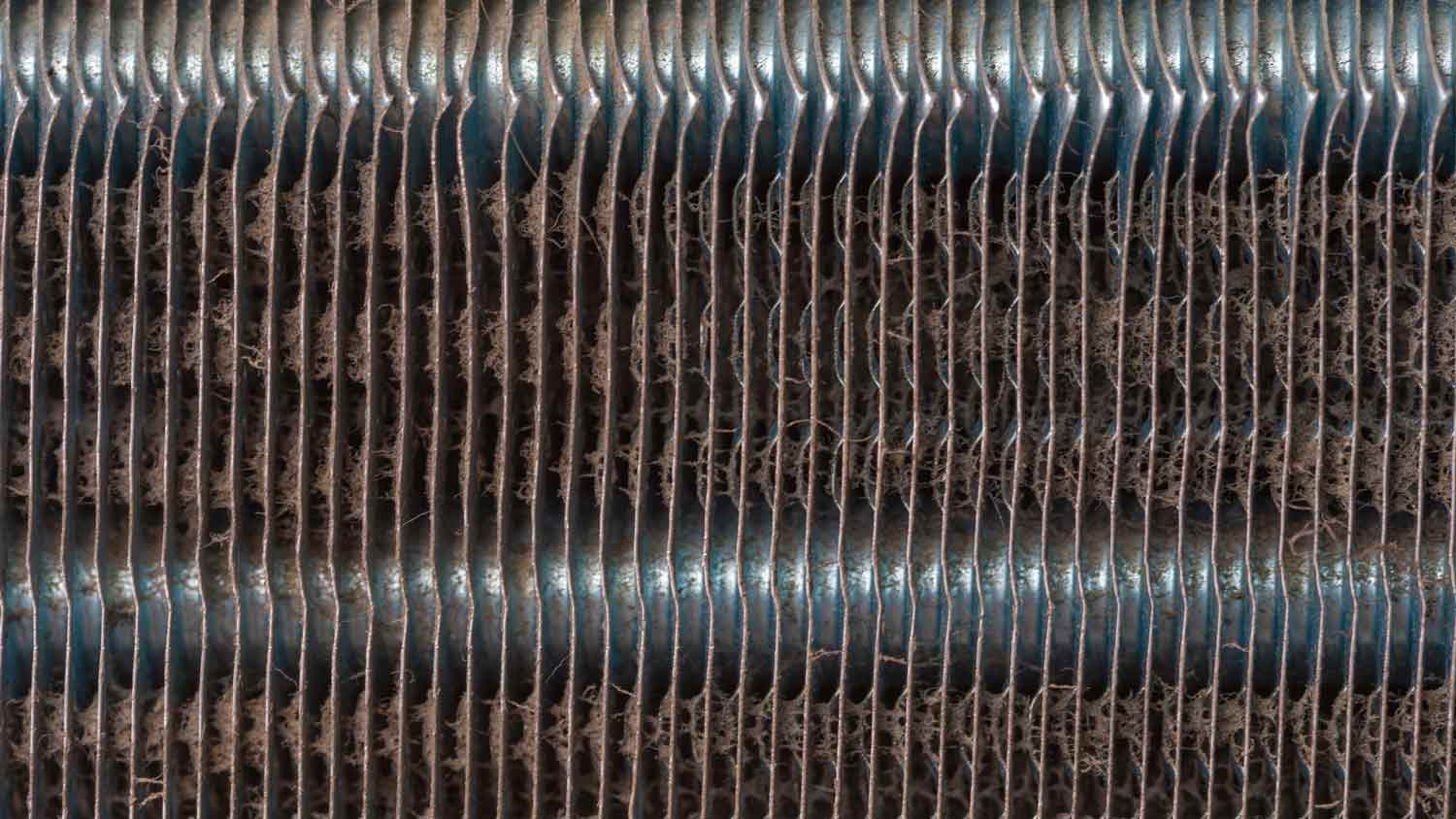 dirty and dusty evaporator coil