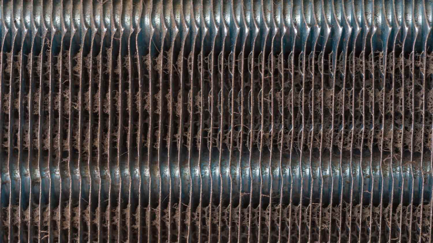 dirty and dusty evaporator coil