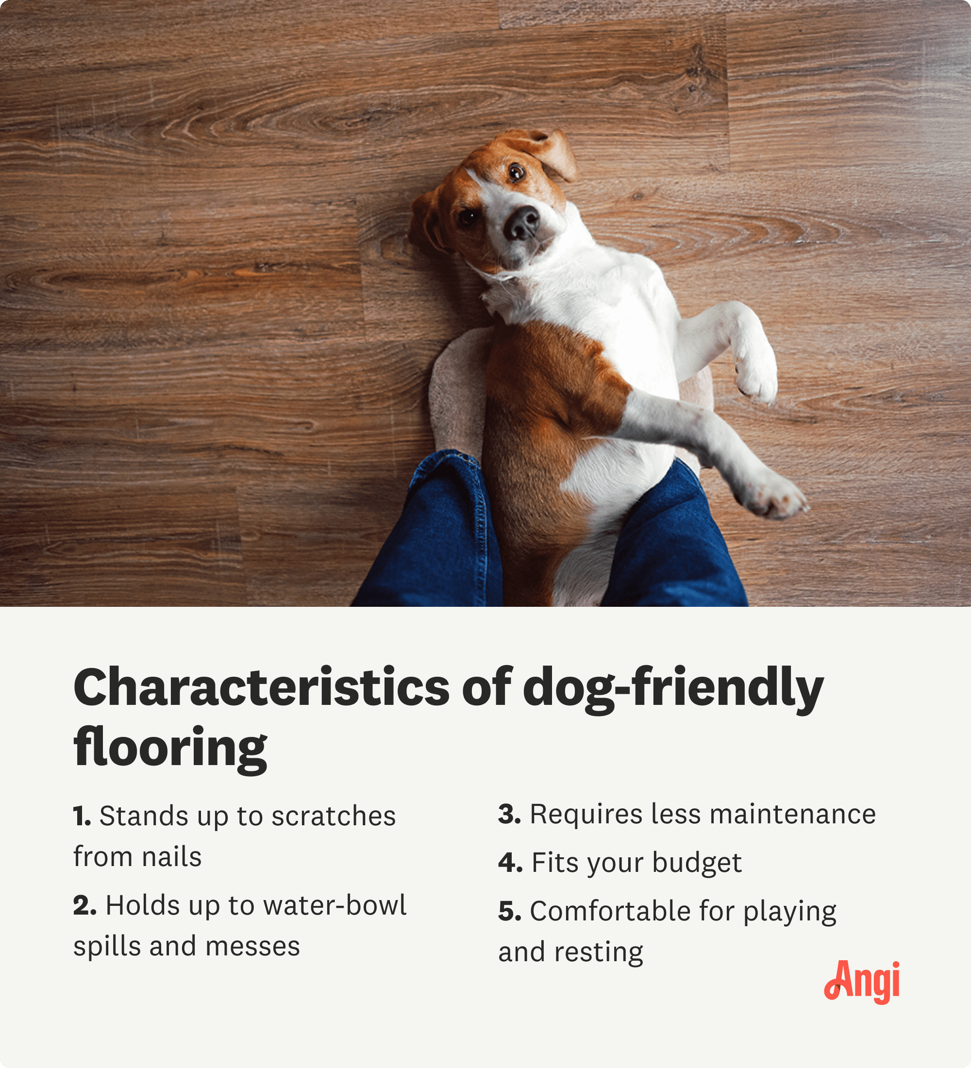 Pet friendly flooring options including durable and skid-resistant