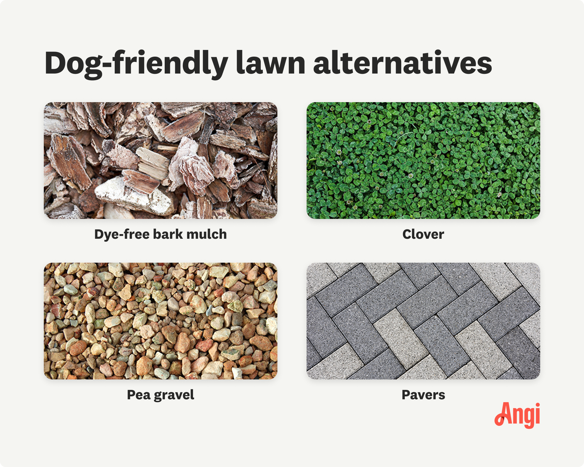  4 dog-friendly lawn alternatives compared visually, including dye-free bark mulch, clover, pea gravel, and pavers