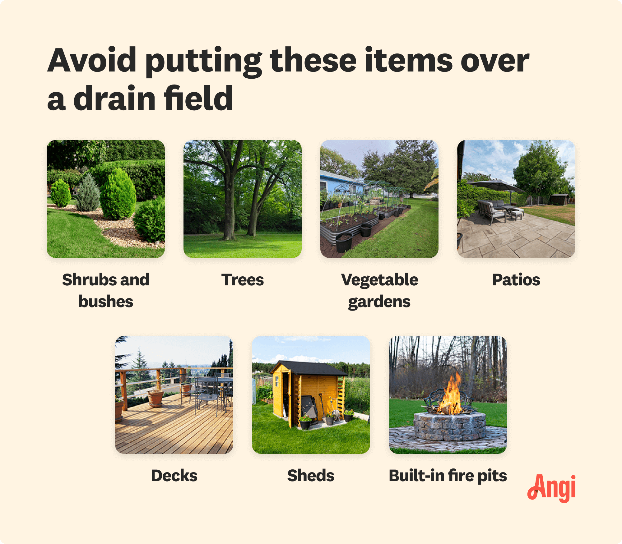 7 items to avoid putting over a drain field, including trees, decks, and sheds