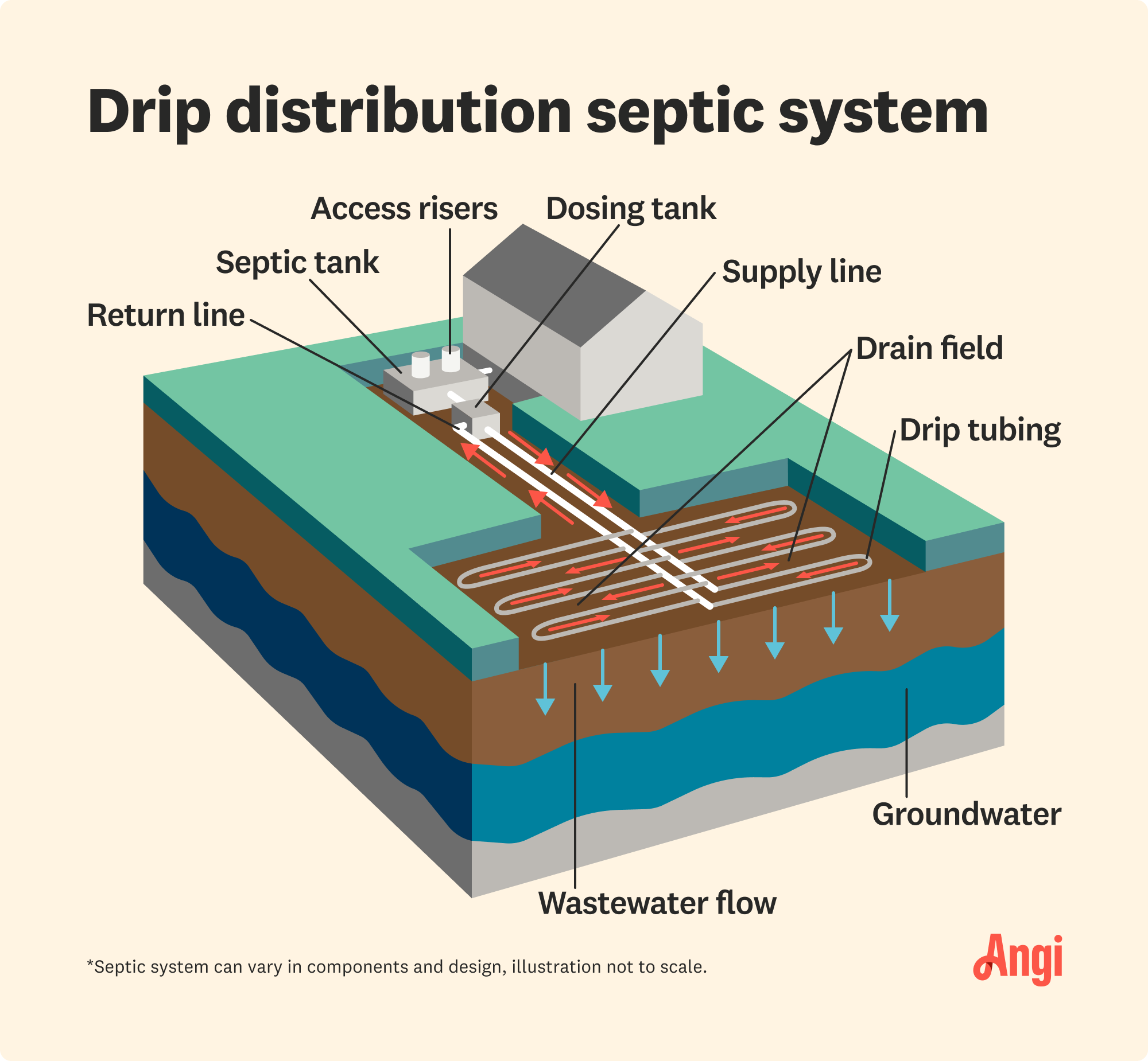 Drip distribution septic system illustrated, including the drainfield, dosing tank, and drip tubing