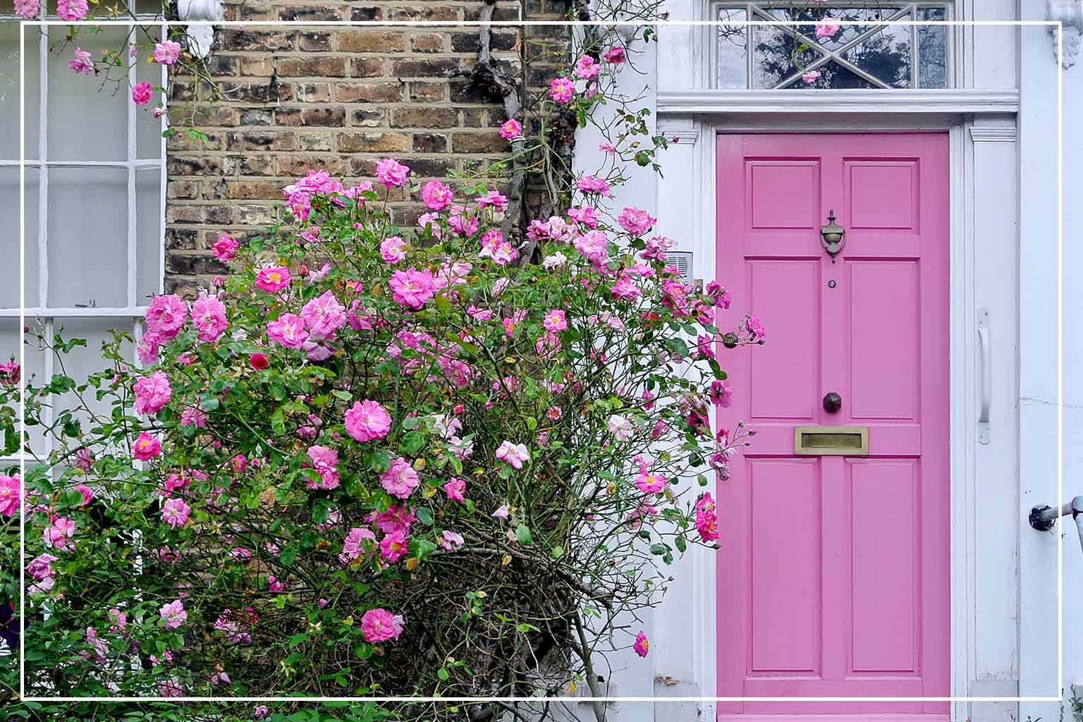dusty pink color front door