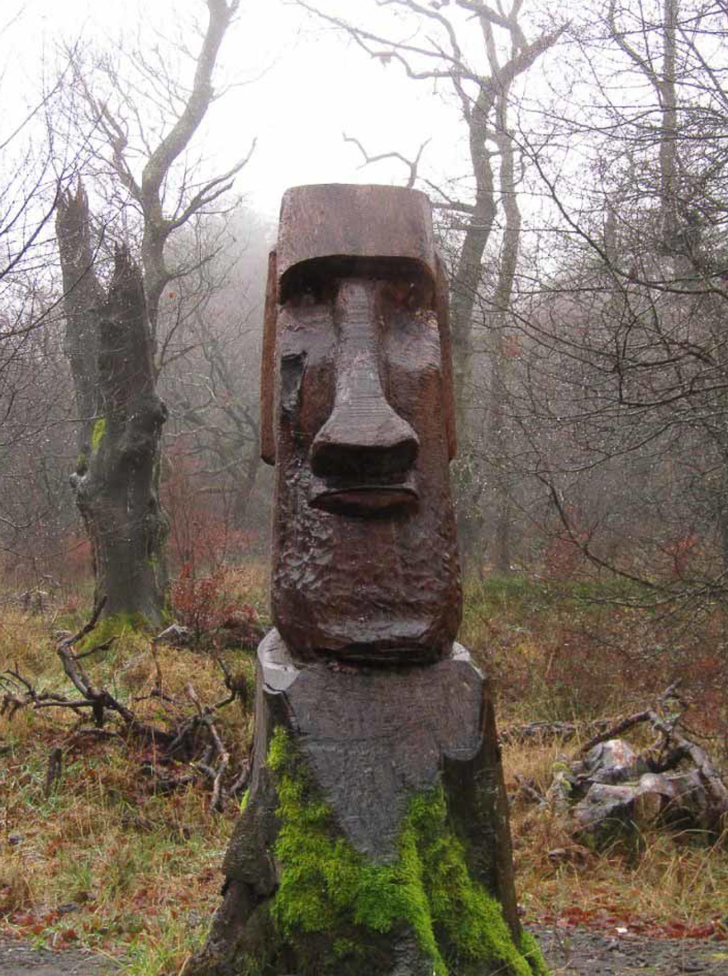 A easter island head in the woods