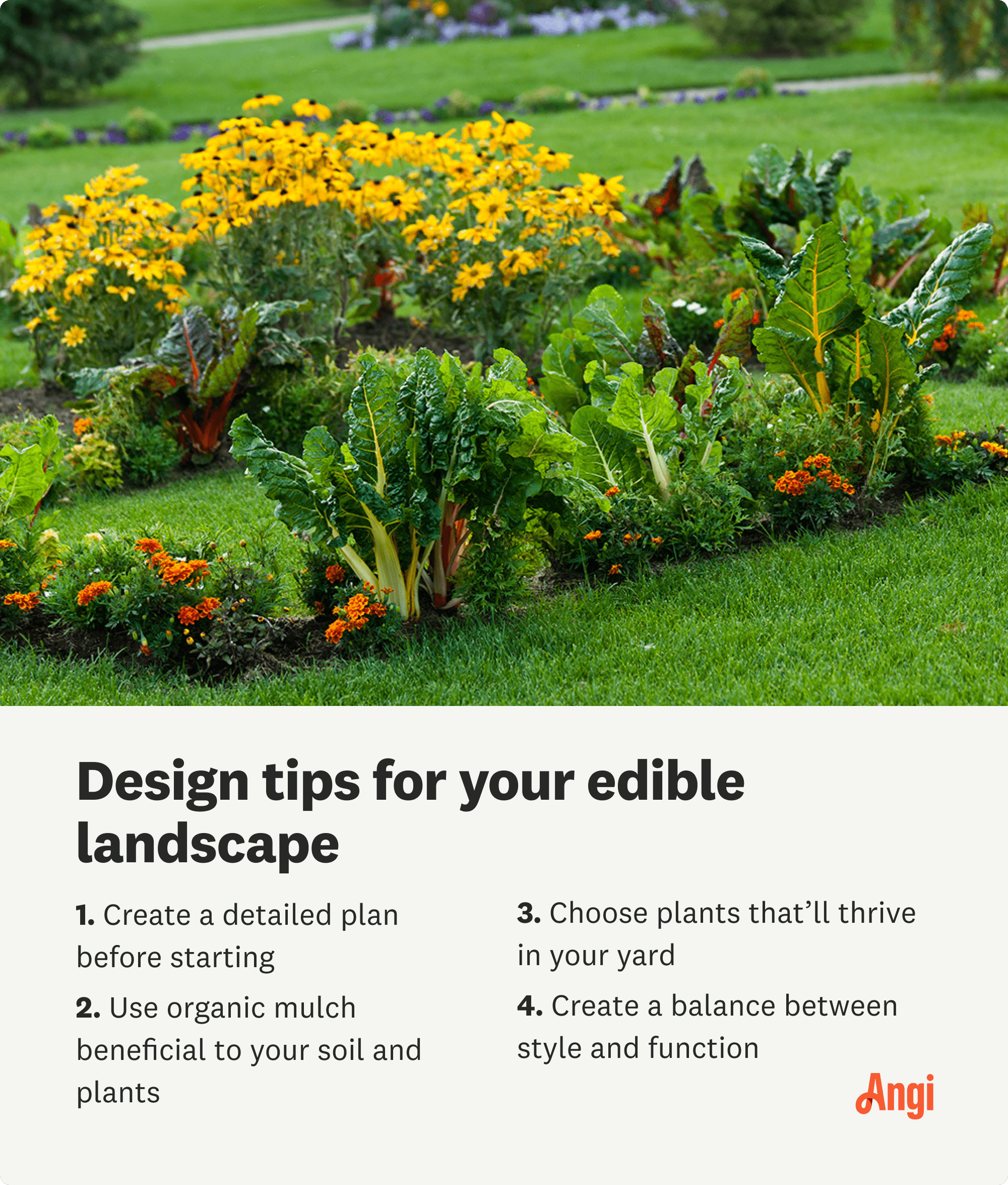 4 edible landscape design tips, including choosing the right plants that will thrive in your yard