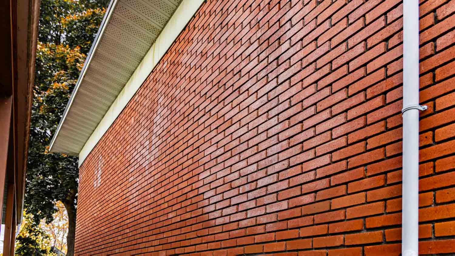 Efflorescence on brick wall