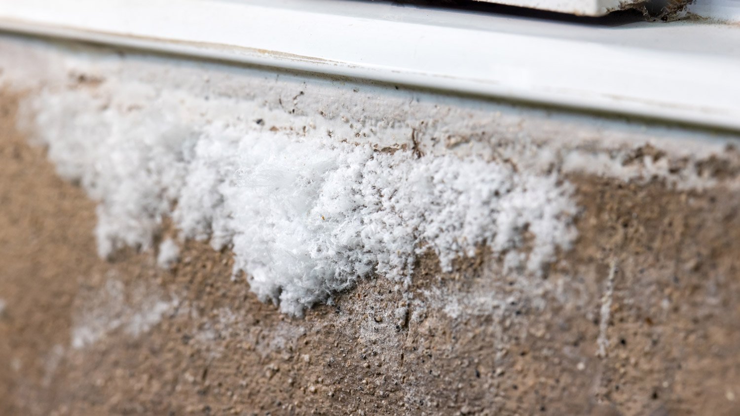 Efflorescence is stain white salt on moisture concrete wall