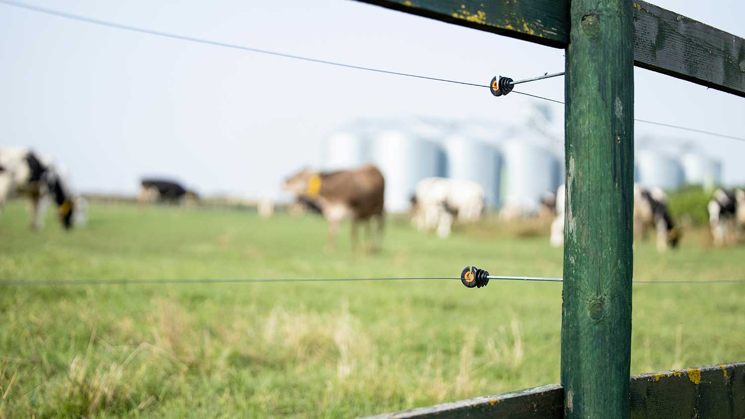 Fence post with electric wires to contain livestock