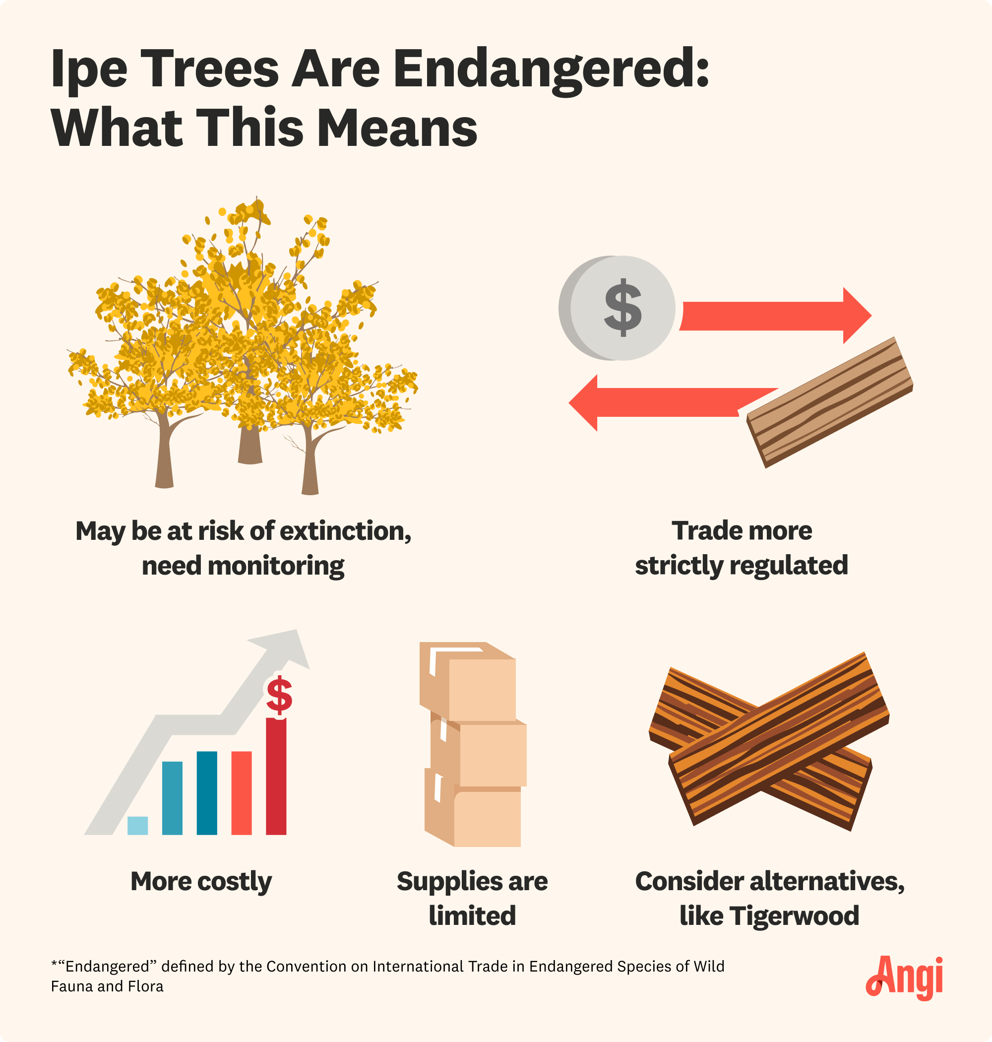 Endangered Ipe trees and what it means illustrated, explaining that less trees available eventually leads to limited supplies for your project