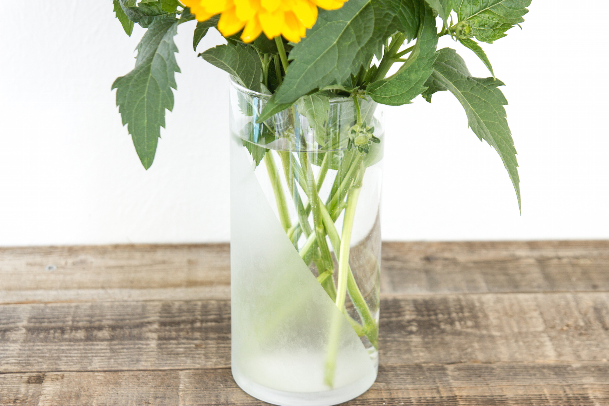 closeup of etched glass vase