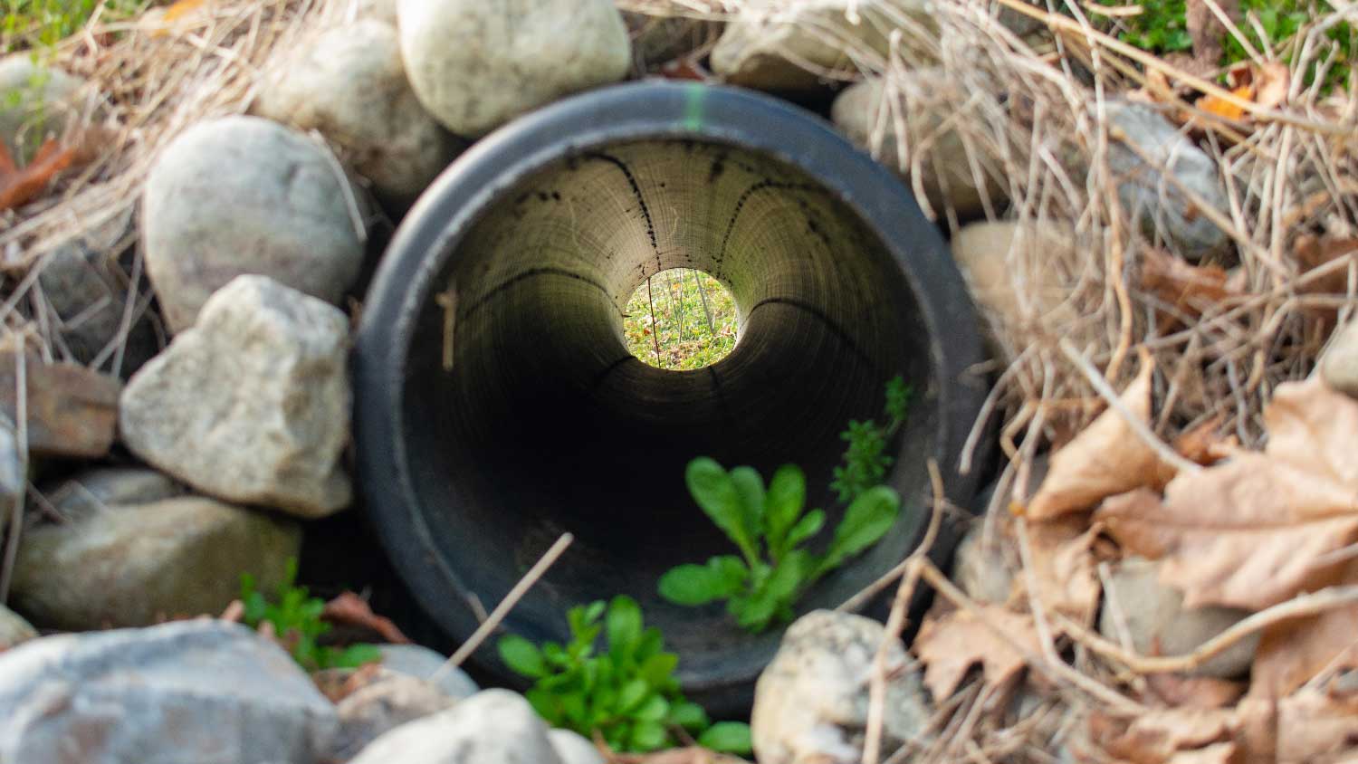 An exit point of a french drain