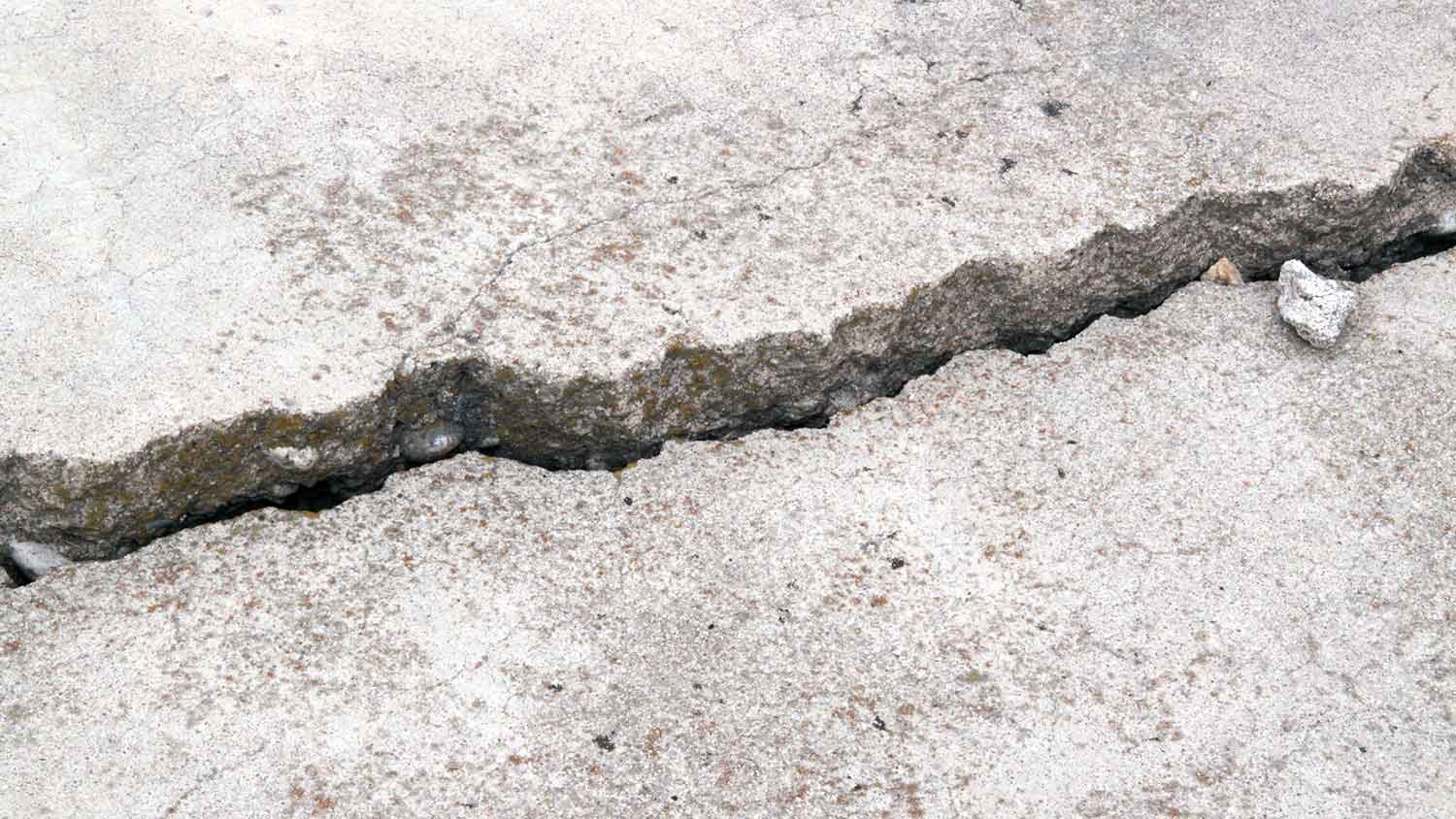 Expansion concrete crack in a sidewalk