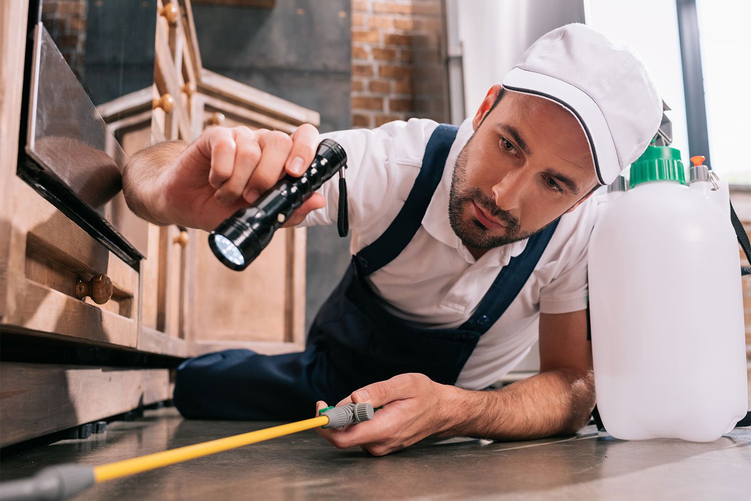 Exterminator spraying kitchen