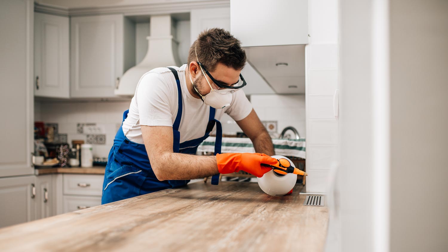 exterminator spraying pesticide in kitchen