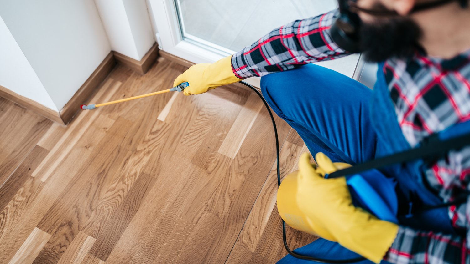 exterminator spraying pesticide on floor