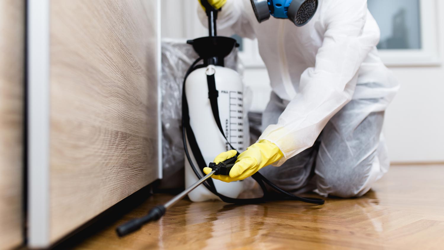 An exterminator spraying in the kitchen for mice