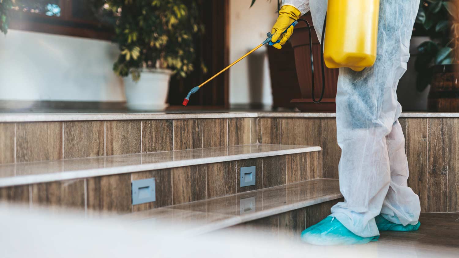 exterminator spraying outdoors