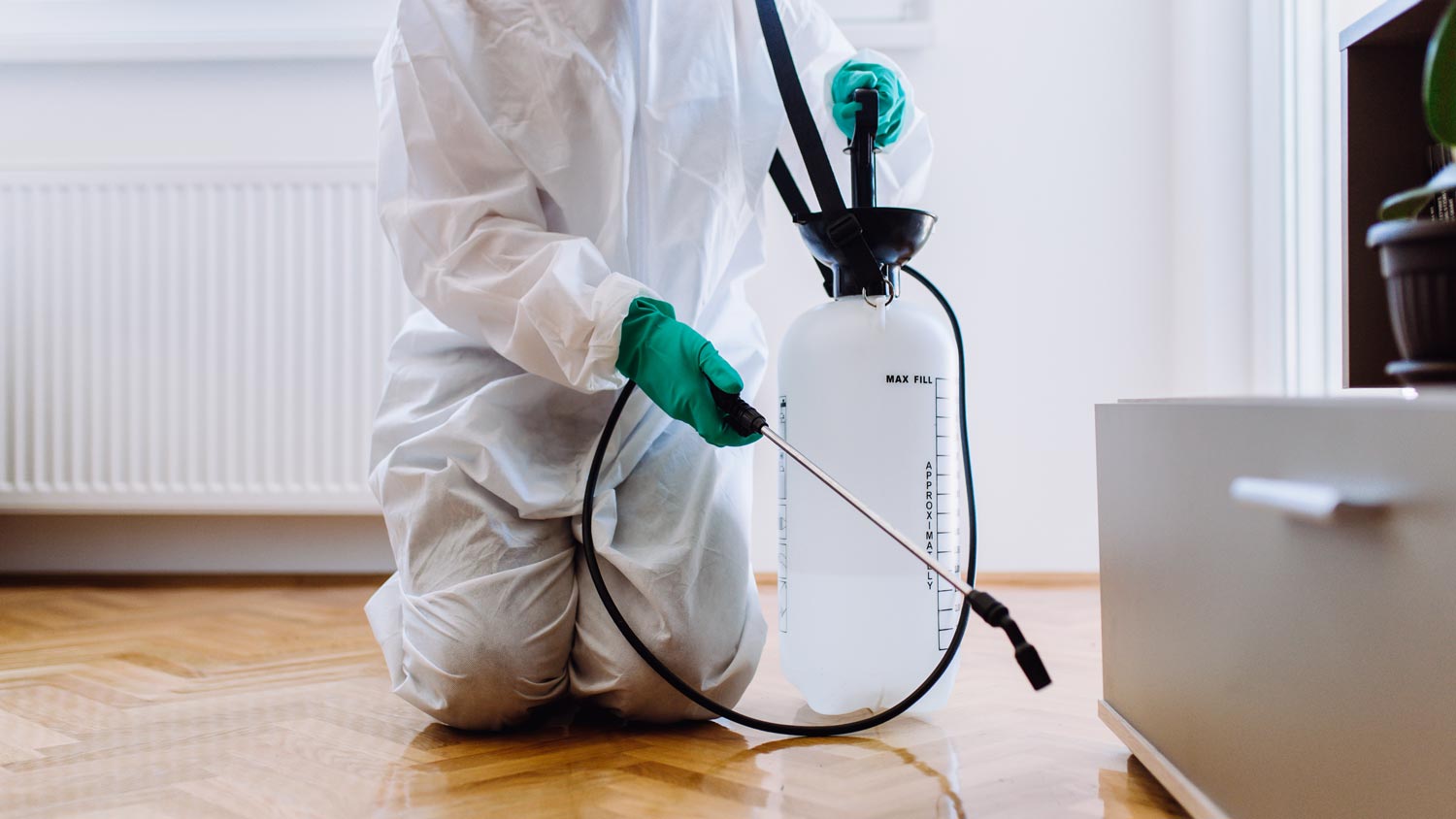 An exterminator spraying pesticide in the interior of a house