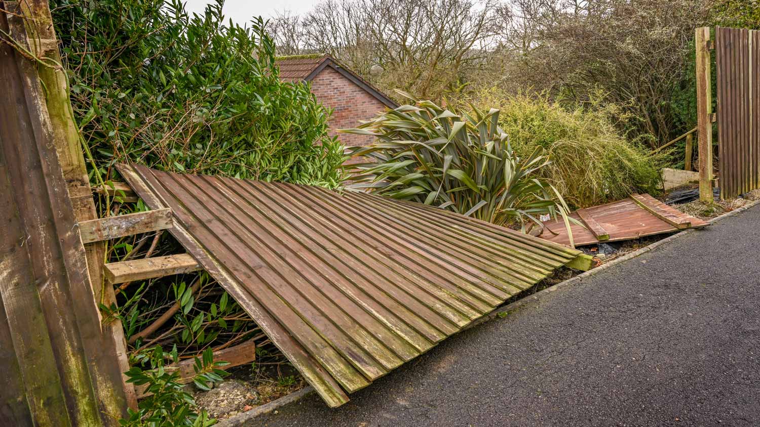 Wooden fence blown down by strong winds 