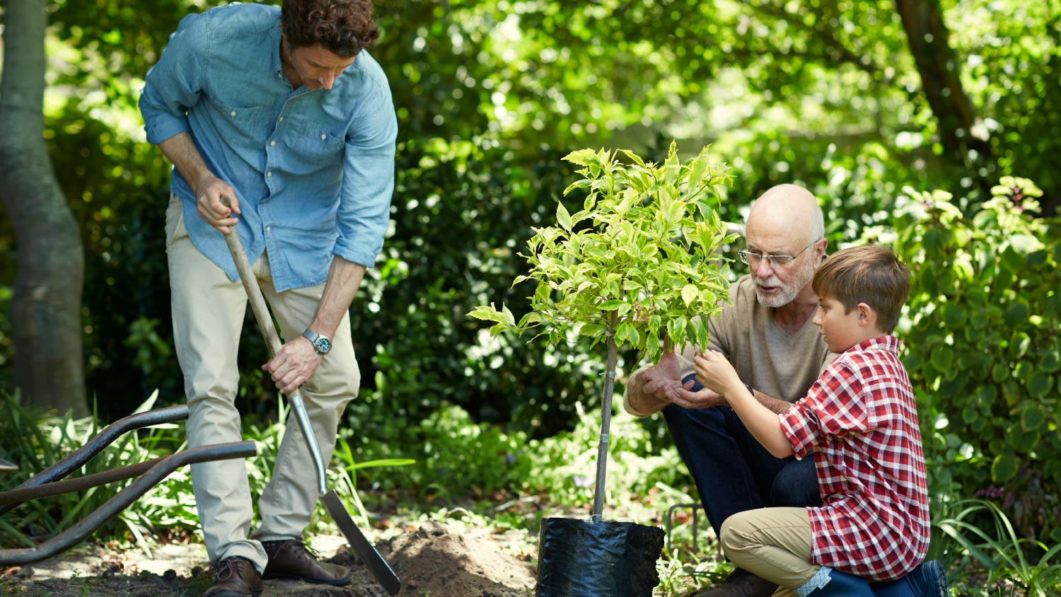 A family gardening together