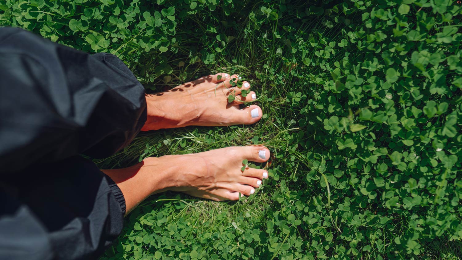 Bare feet of woman standing on green clover leaves