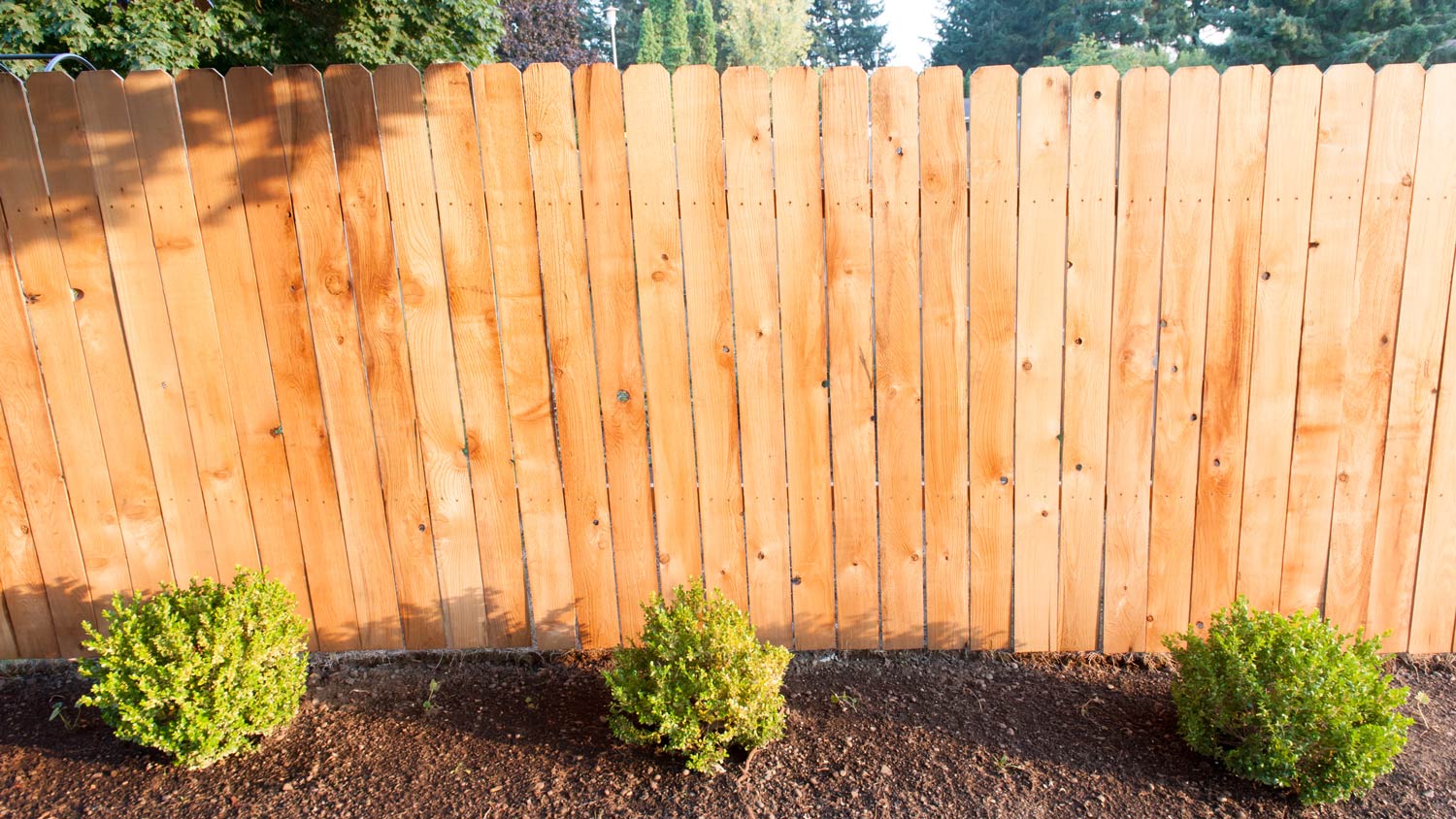 Wooden fence in backyard 