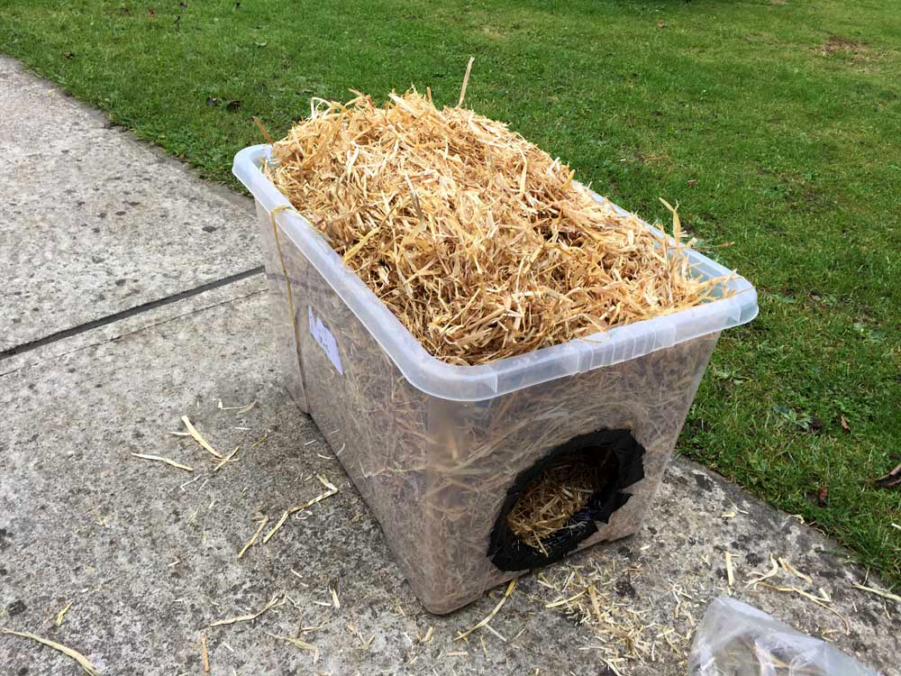 making DIY feral cat shelter