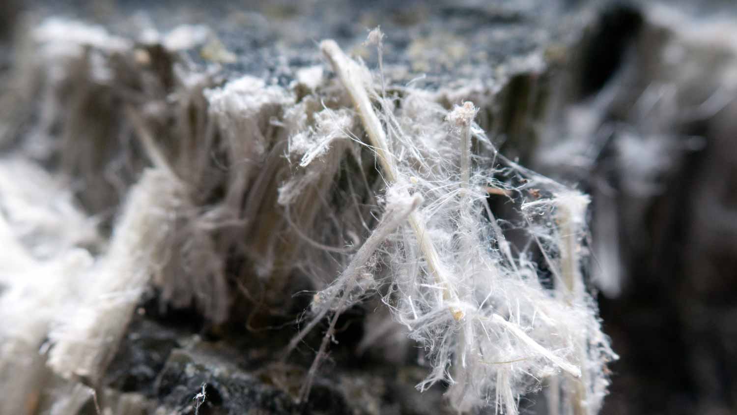 A fibers of  asbestos