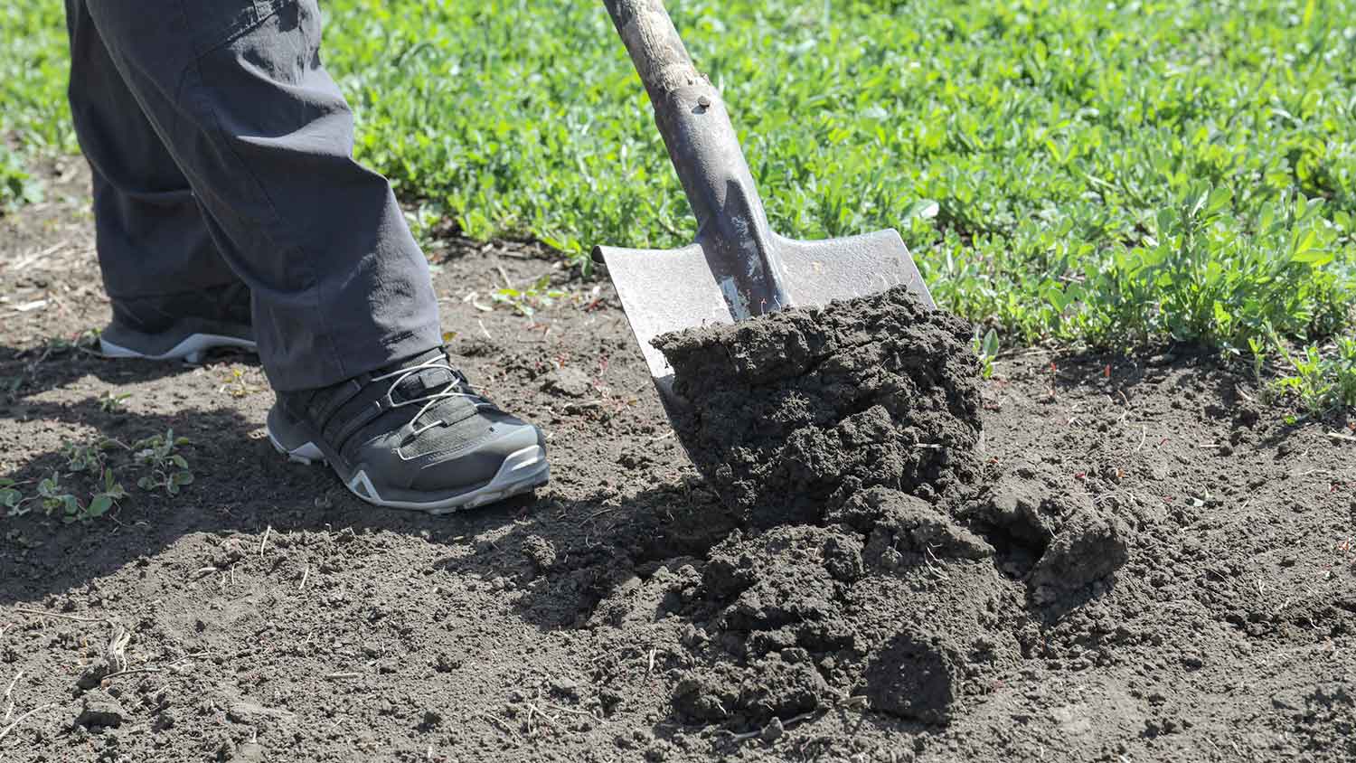 Gardener filling hole in the yard with dirt