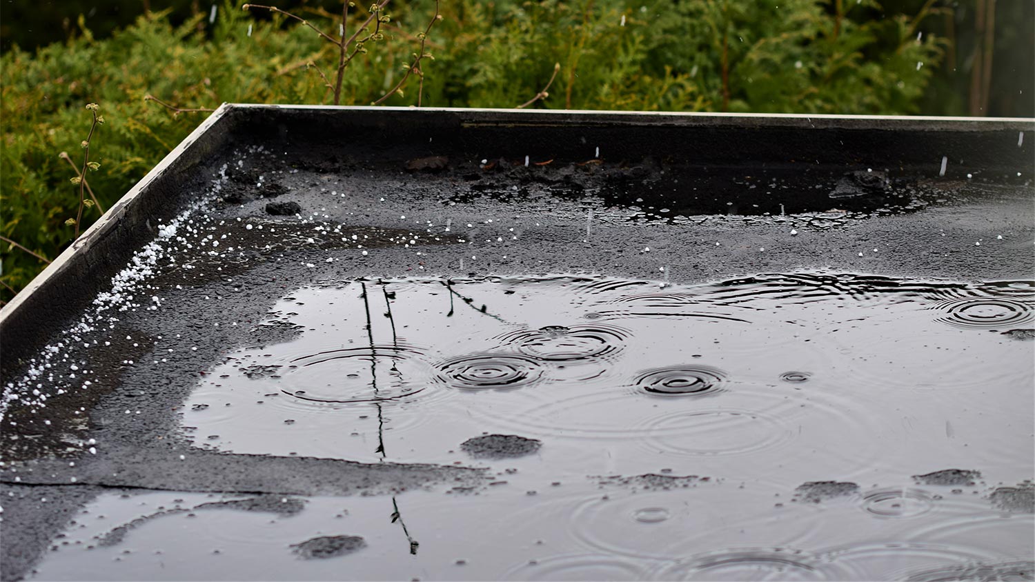 Puddle on flat black roof