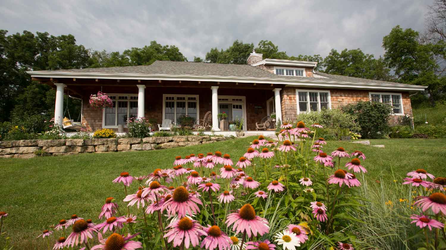 Flowers growing in the front yard of a house