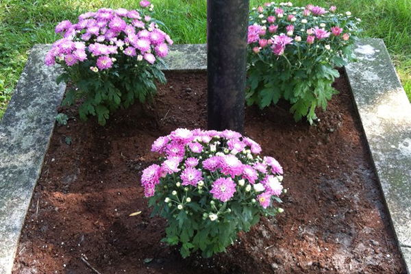 How To Prepare Your Flowers For Winter How To Prepare Your Flowers For Winter, How To Prepare A Flower Garden For Winter