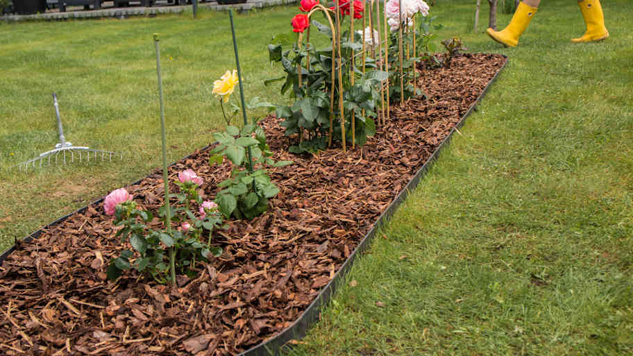 floorbed with brown mulch