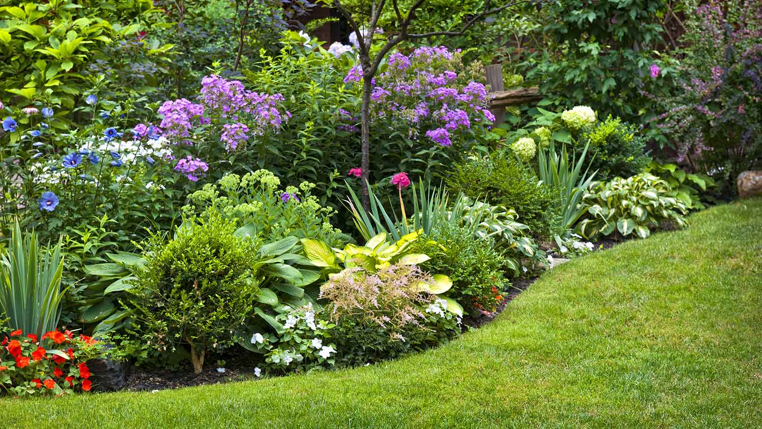 Flowerbed with multiple perennials 