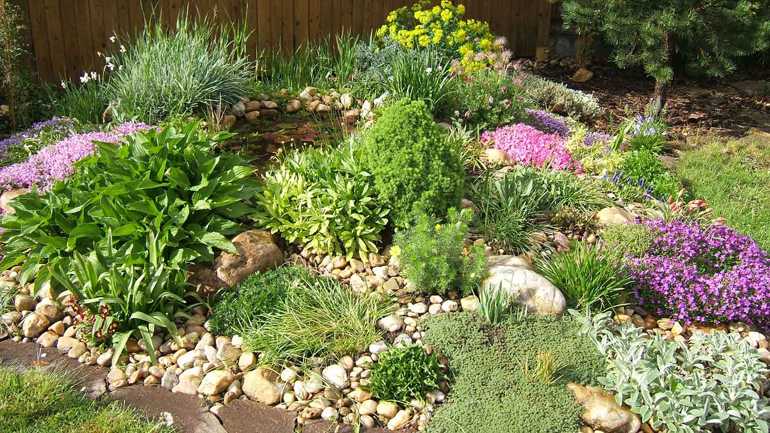 Flowers planted in between landscaping rocks