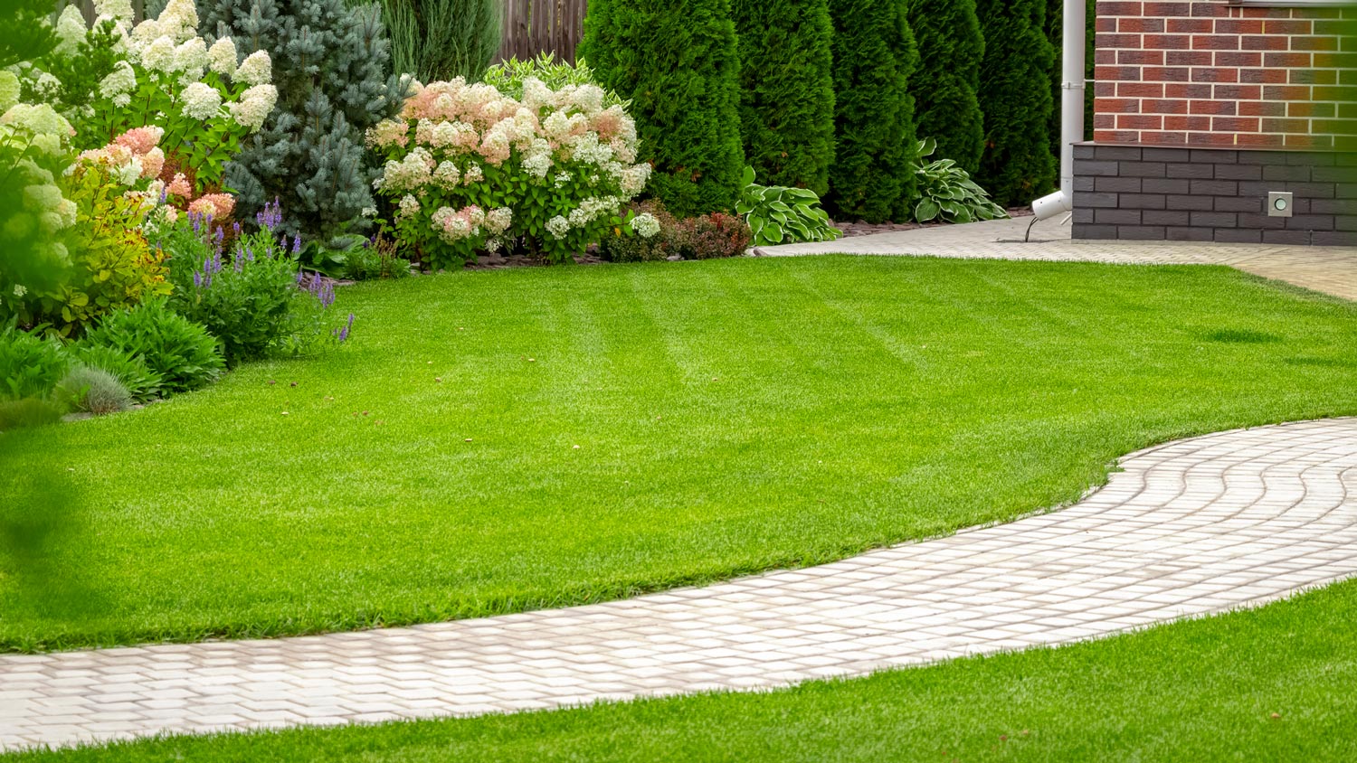 Freshly cut bermuda grass along a house’s pathway