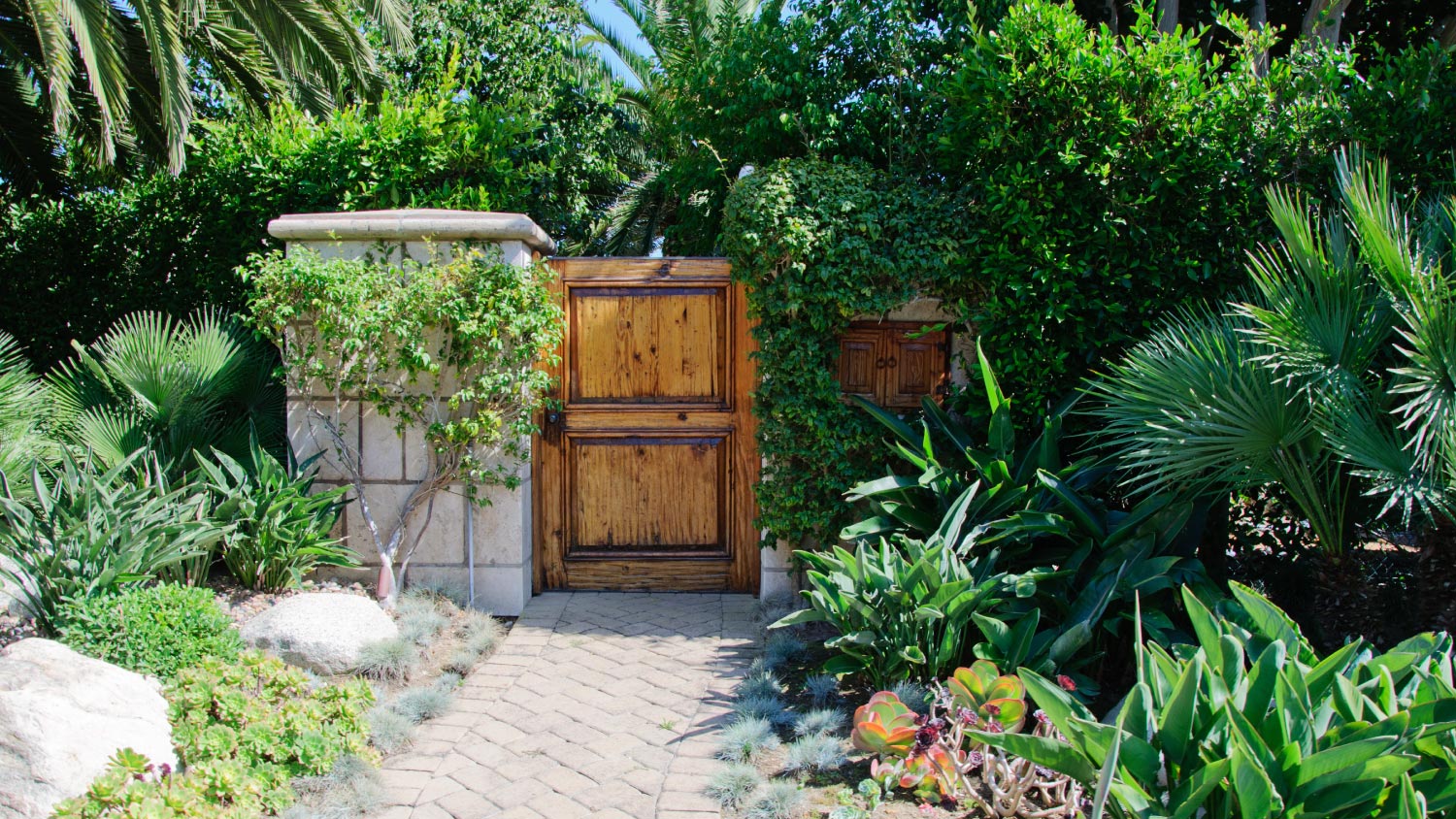 A front yard garden